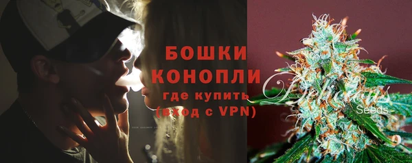 гидра Арсеньев