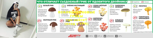 прущая мука Армянск