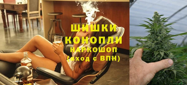 гидра Арсеньев