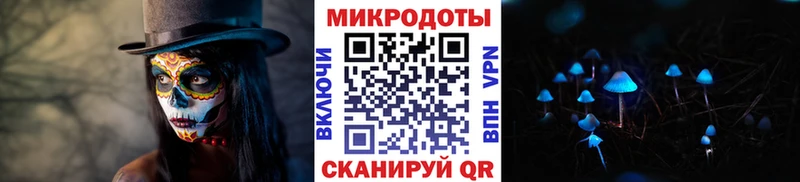 OMG как зайти  Таштагол  Галлюциногенные грибы мухоморы 